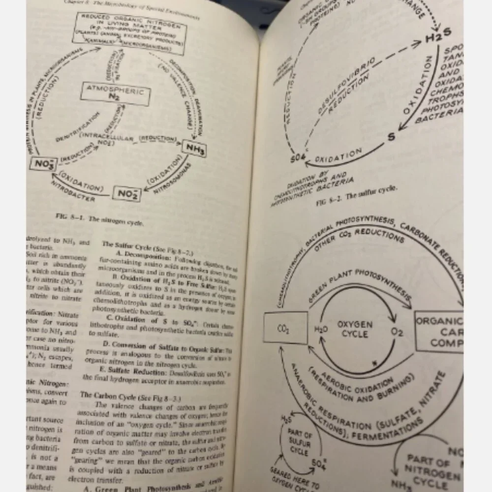 Review Of Medical Microbiology Edition 10 Ernest Jawetz